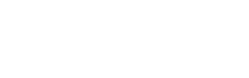 Yanisa Execution Logo